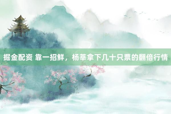 掘金配资 靠一招鲜，杨莘拿下几十只票的翻倍行情