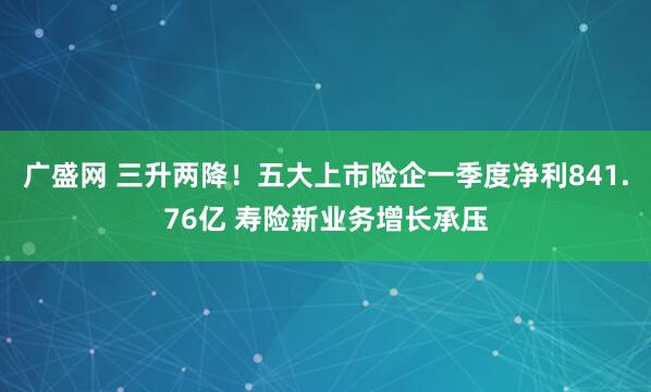 广盛网 三升两降！五大上市险企一季度净利841.76亿 寿险新业务增长承压