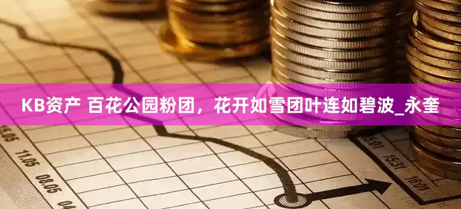 KB资产 百花公园粉团，花开如雪团叶连如碧波_永奎