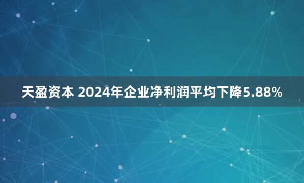 天盈资本 2024年企业净利润平均下降5.88%