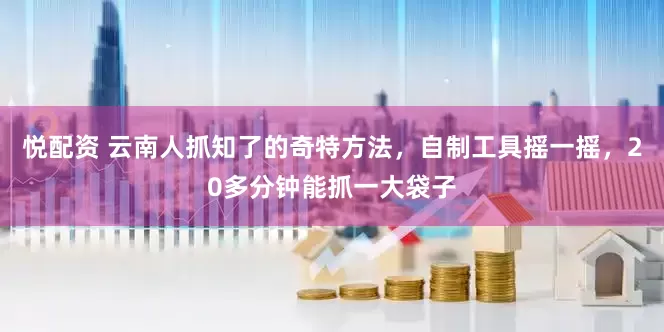 悦配资 云南人抓知了的奇特方法，自制工具摇一摇，20多分钟能抓一大袋子