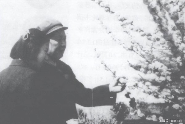 瑞和网  96年孔令华向中央反映妻子李敏问题，中央批示：享受副军级待遇