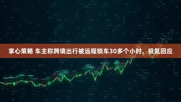 掌心策略 车主称跨境出行被远程锁车30多个小时，极氪回应